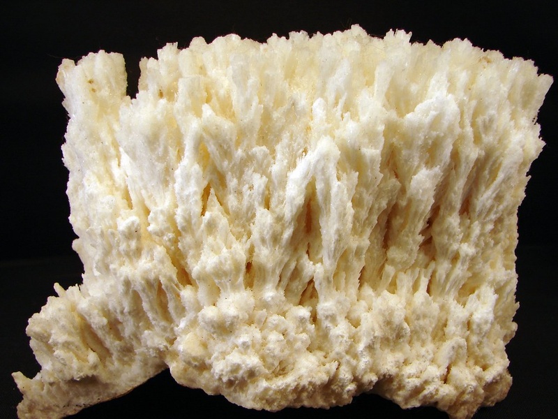 Calcumin Salt List of Salts - 33Science