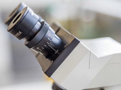 Compound light microscope