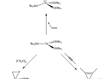Coordination Chemistry