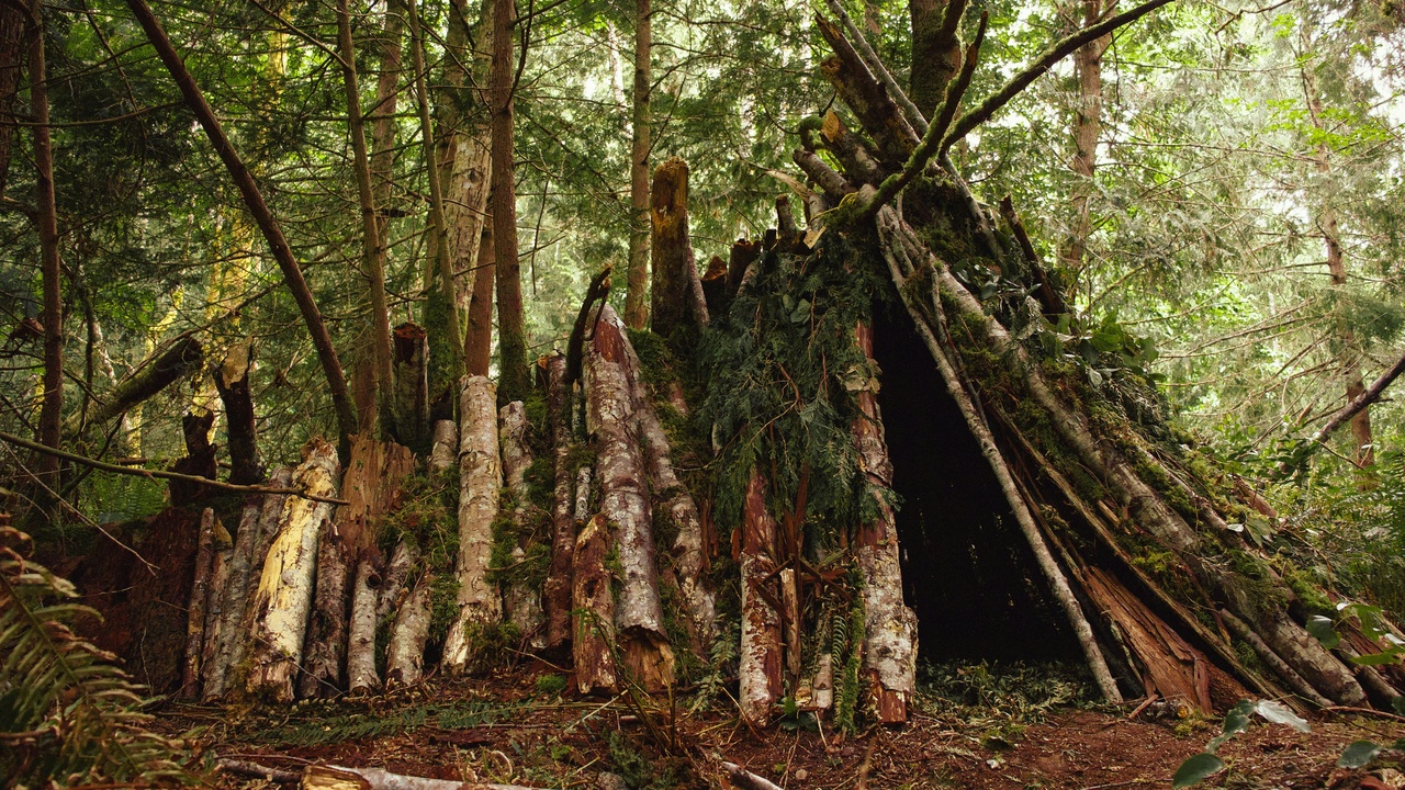 indigenous knowledge and mangroves