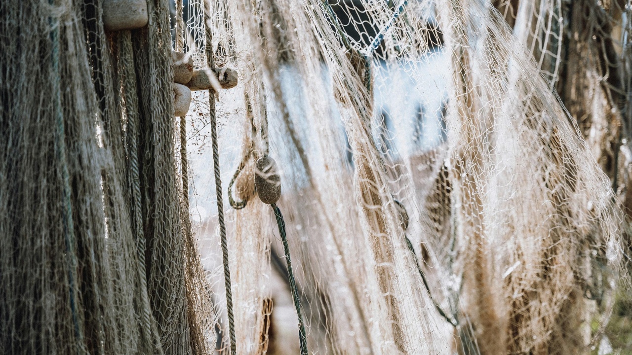 Fishermen landing fish at a coastal harbor representing fisheries and livelihoods.