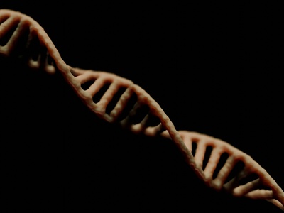 Evolutionary Developmental Biology (Evo‑Devo)