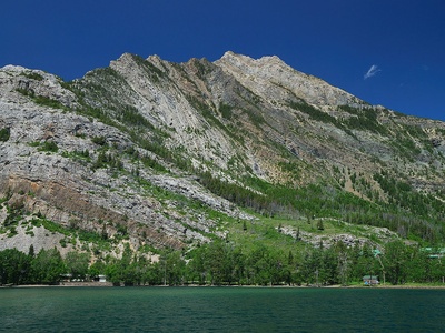 Forest area (ecosystem resource)