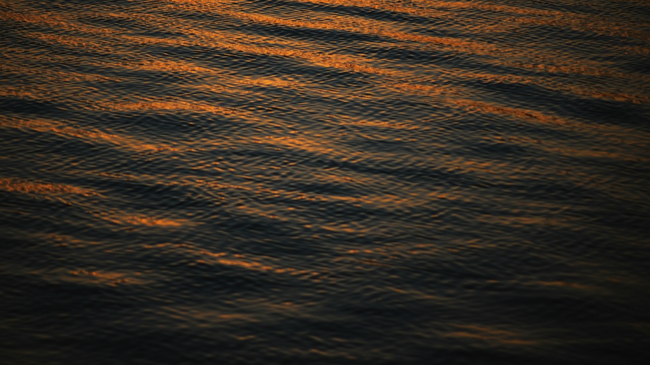 Illustration of light behavior: prism, wave interference patterns, and Alhazen book