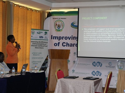 Gishwati-Mukura Forest