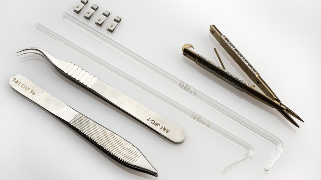 Variety of surgical forceps and hemostatic clamps arranged on a tray.