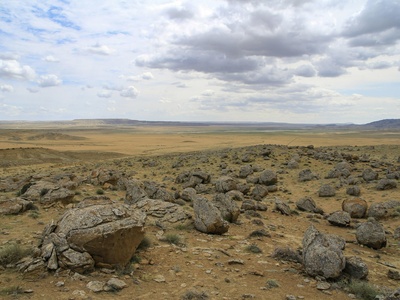 Hot semi-arid (steppe)