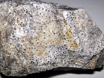 Limestone and dolomite