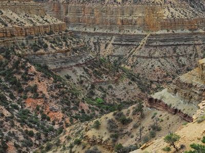 Limestone (limestone/dolomite)