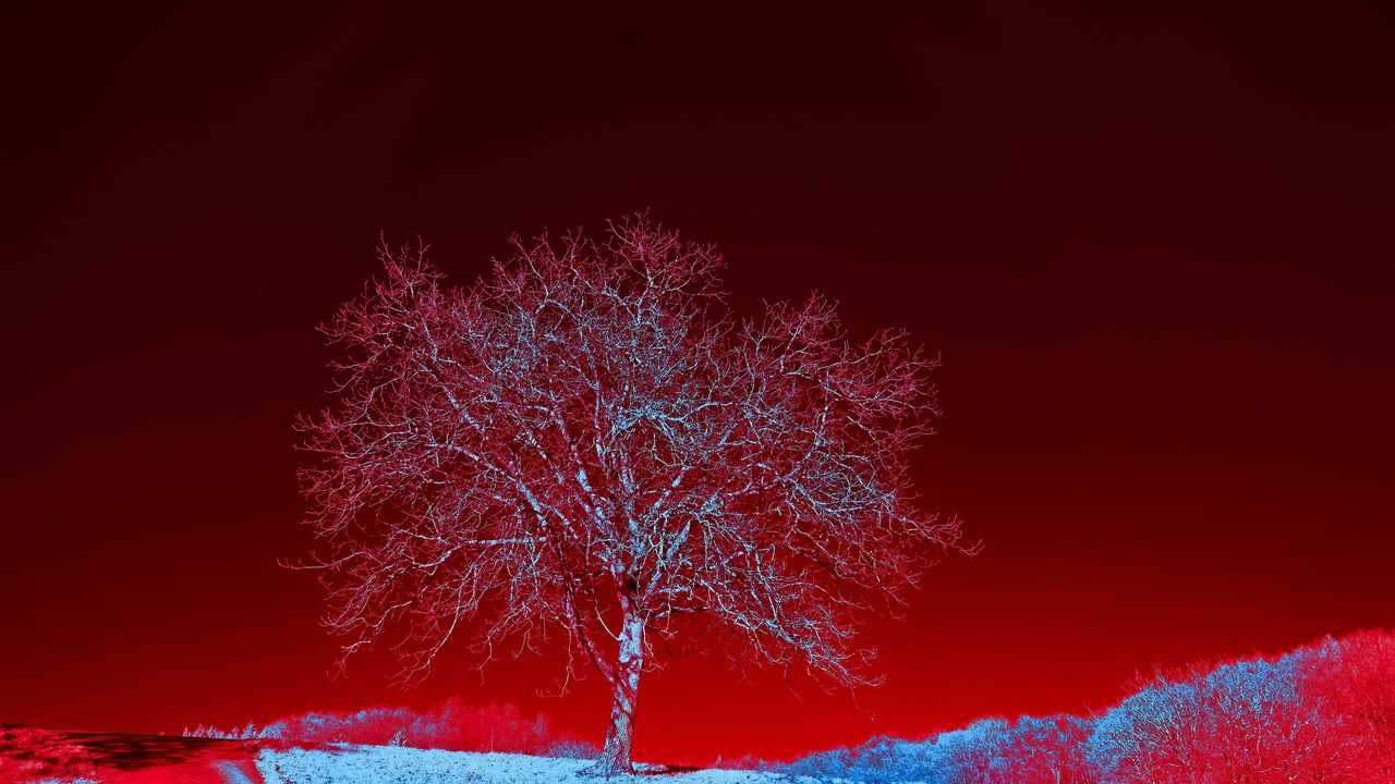 Satellite earth observation and thermal imaging camera