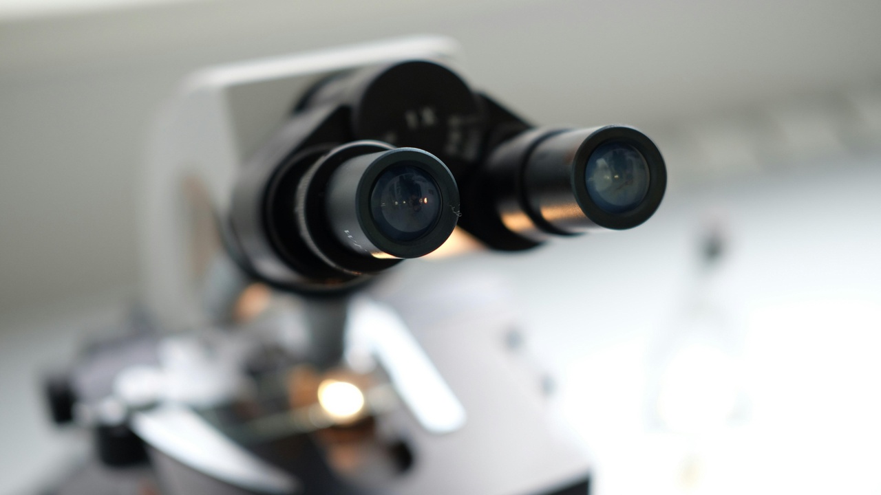 Laboratory researchers working on vaccine development