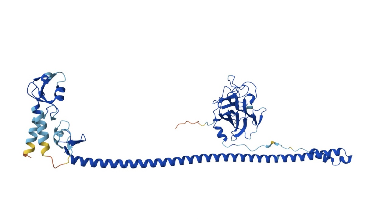 Advances in computational methods including protein AI, simulations, and interpretable machine learning