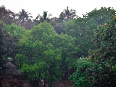 Monsoon-influenced humid subtropical