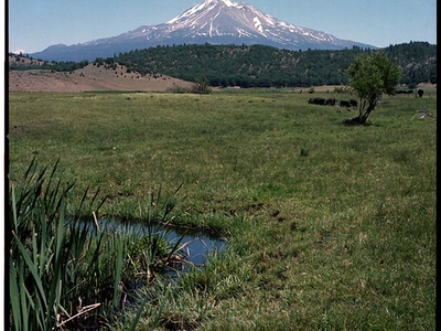 Mount Shasta