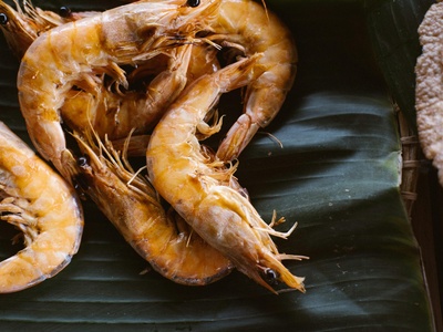 Northern shrimp