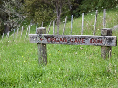 Organ Cave