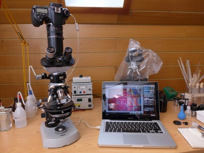 Phase-contrast microscope