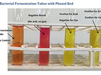 Phenol red