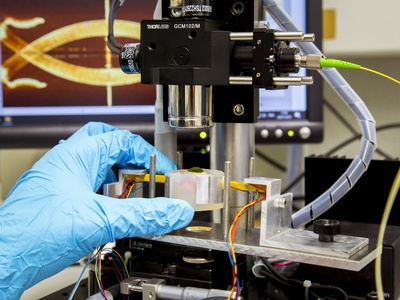 Piezoelectric actuator