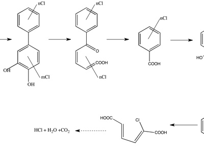 Polychlorinated biphenyls (PCBs)