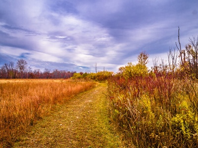 Prairie/Biodiversity