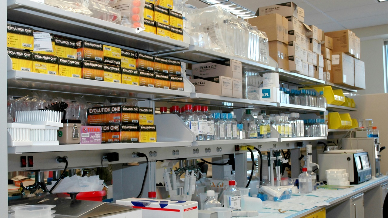 Bioinformatics workflow and agricultural field trials