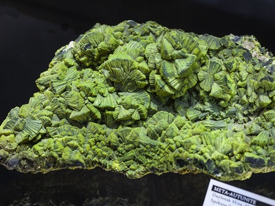 Rice Northwest Museum of Rocks & Minerals