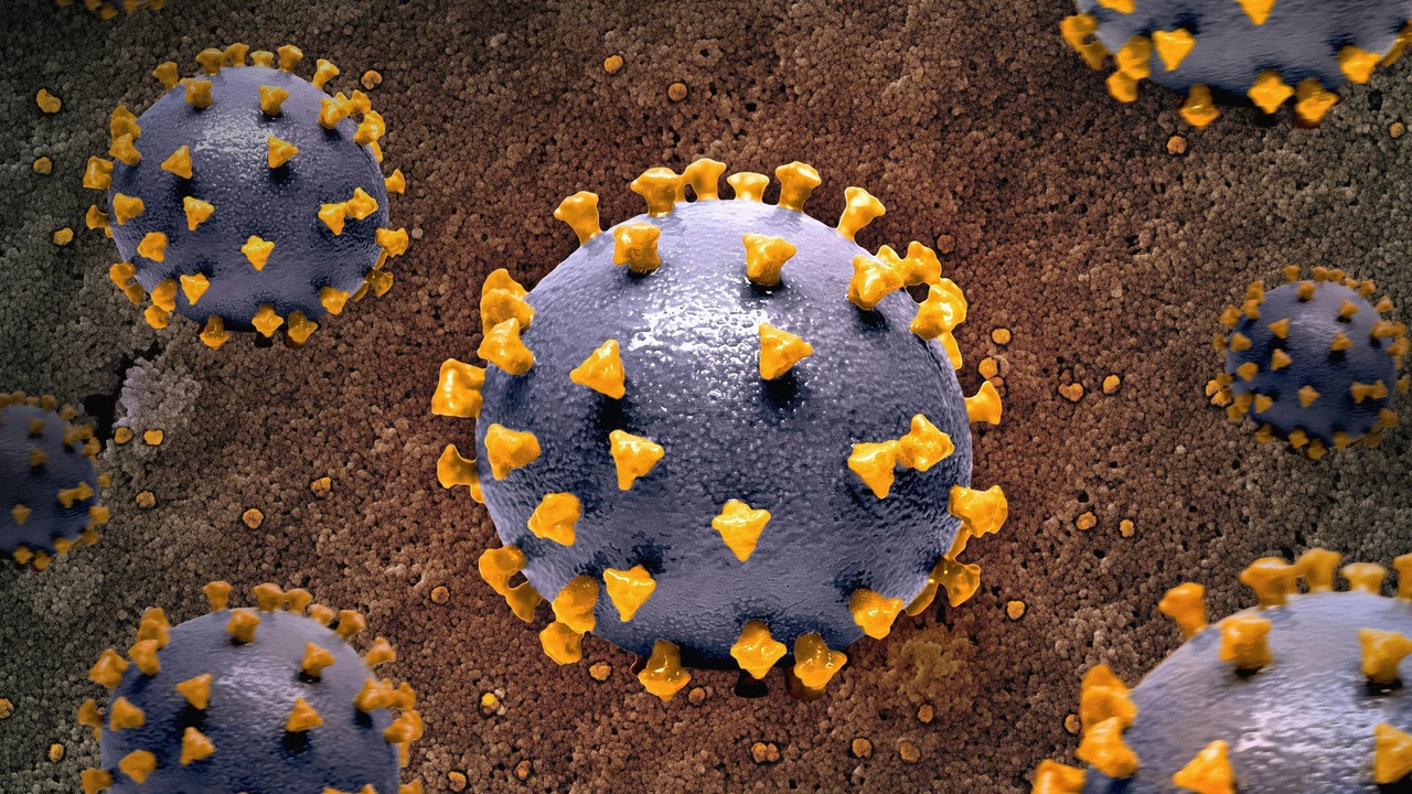 Laboratory researcher handling nanoparticles with gloves and safety equipment
