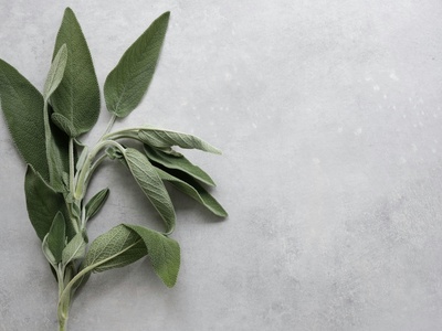 Sage