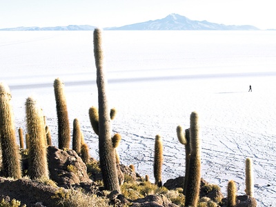 Salt (rock salt and brine)