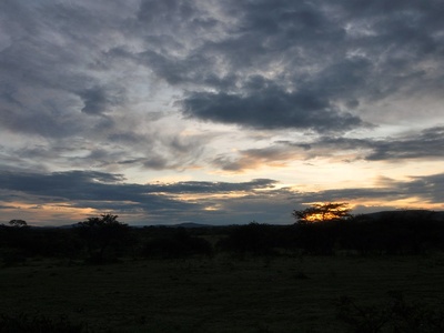 Serengeti (East African savanna)