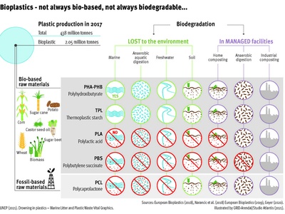 Starch-based bioplastics
