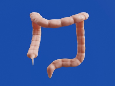 Tapeworm