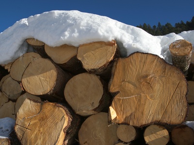 Timber (forest products)