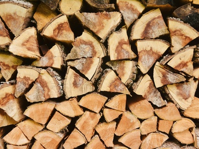 Timber (fuelwood, small-scale logs)
