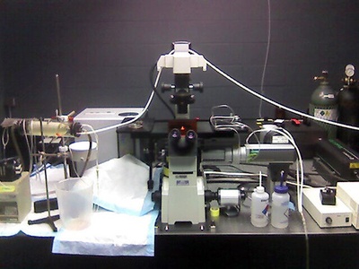 Two-photon (multiphoton) microscope