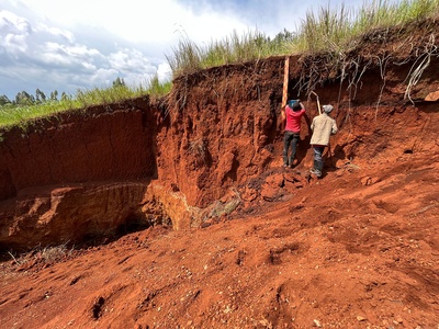 Volcanic soil (topsoil)
