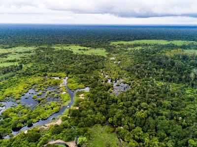 Wetlands and peatlands