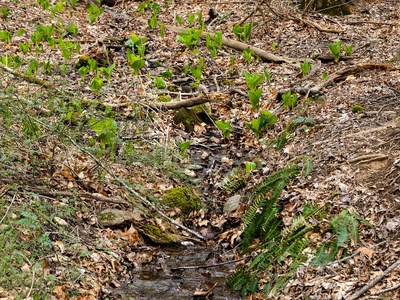 White Clay Creek Nature Center