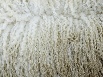 Wool
