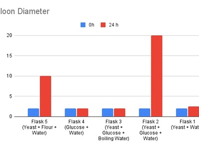Alcoholic fermentation