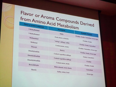Amino acid metabolism