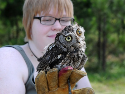 Anniston Museum of Natural History