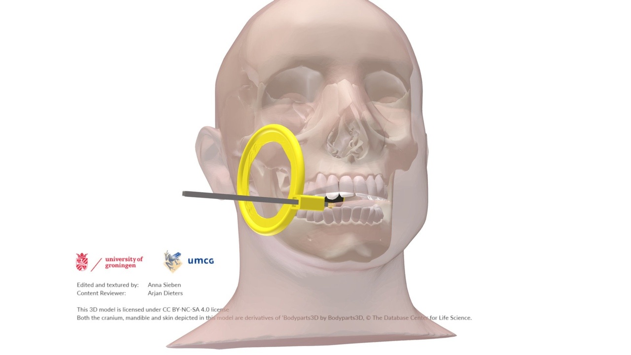 Scientist analyzing molecular dynamics simulation output on a workstation.