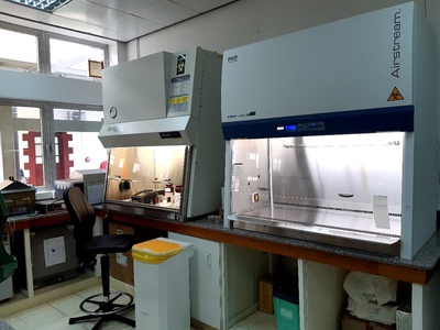 Biosafety Cabinet (Class II)