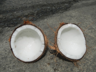Coconut oil