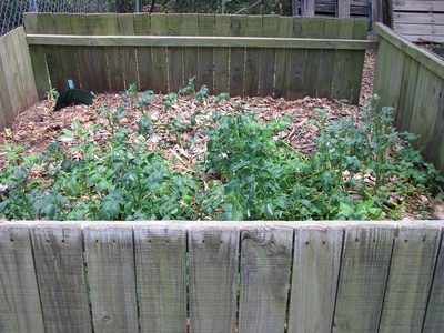 Compost pile