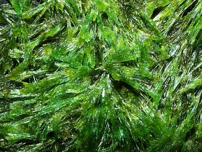 Copper(II) chloride dihydrate