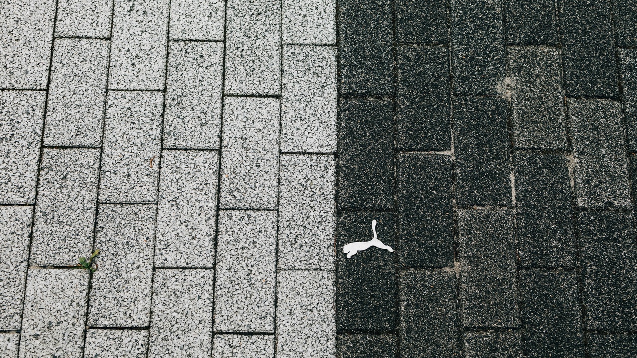 Stribeck curve showing friction coefficient versus sliding speed and an inset illustrating stick‑slip oscillations.