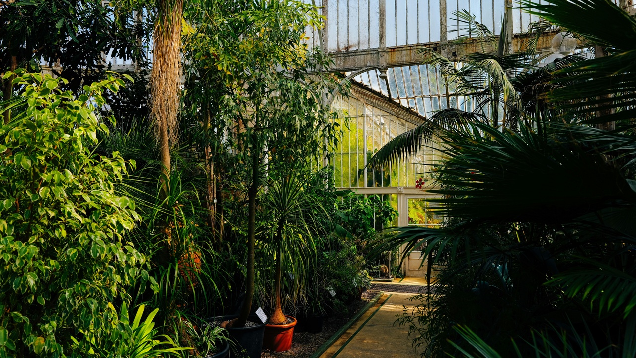 Researchers studying biodiversity, chimpanzees in the field, and ocean exploration imagery